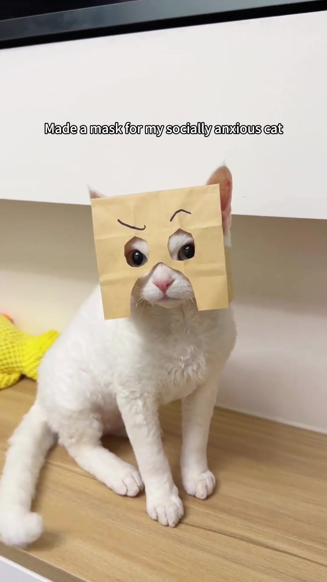 @MoewaiiCat