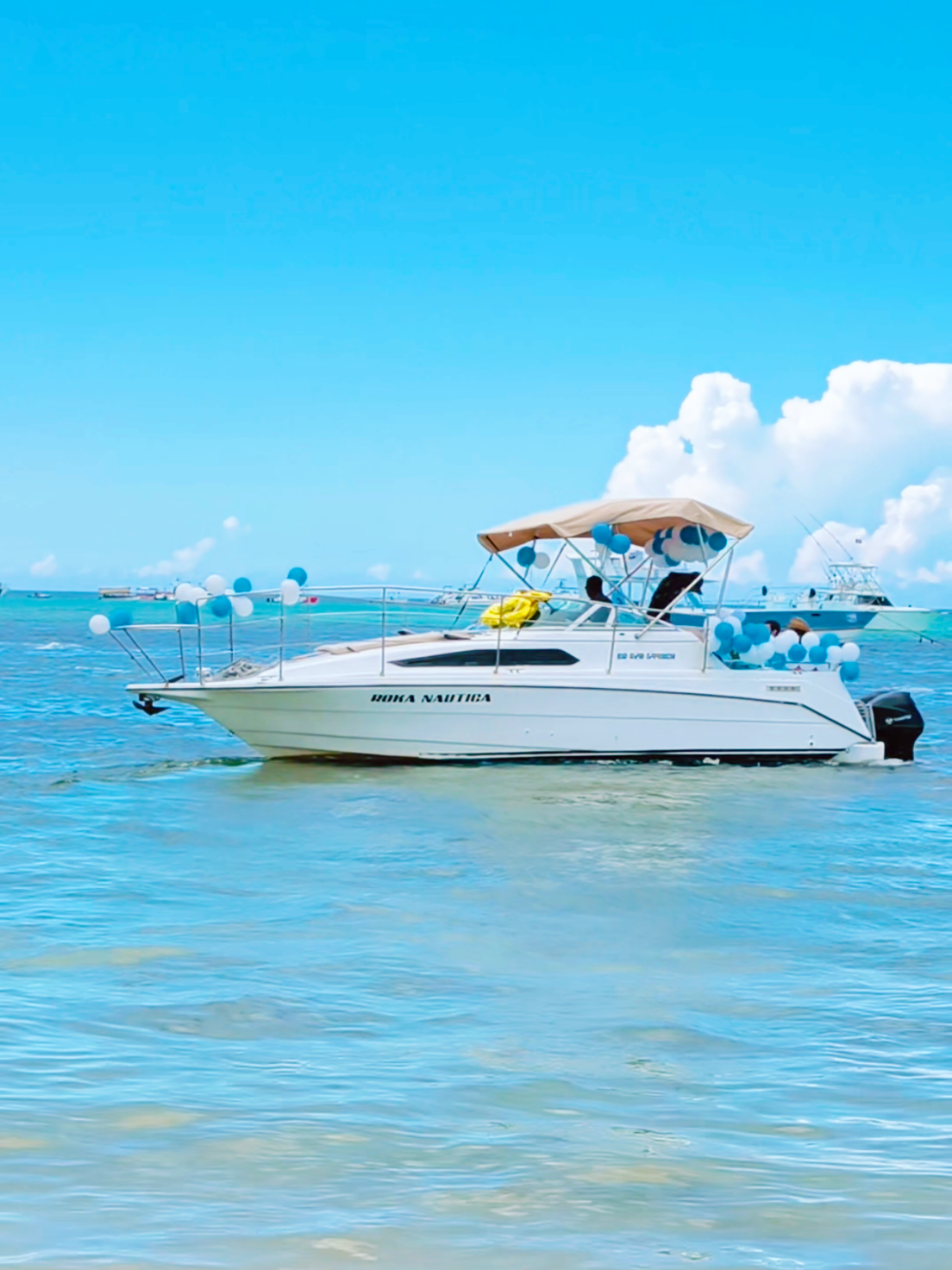 @Liliia Valova Liva Boat
