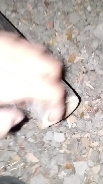 @๐ฆ