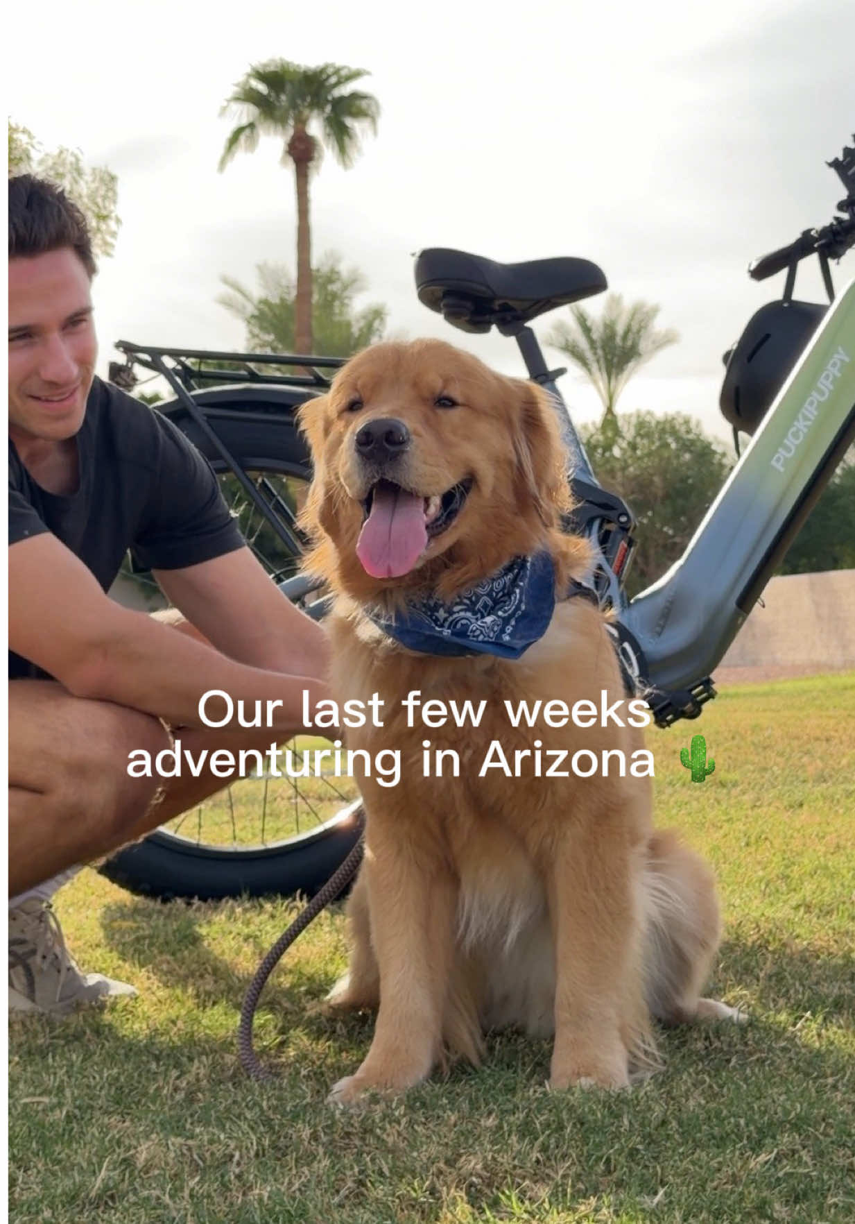 @Romeo the Retriever