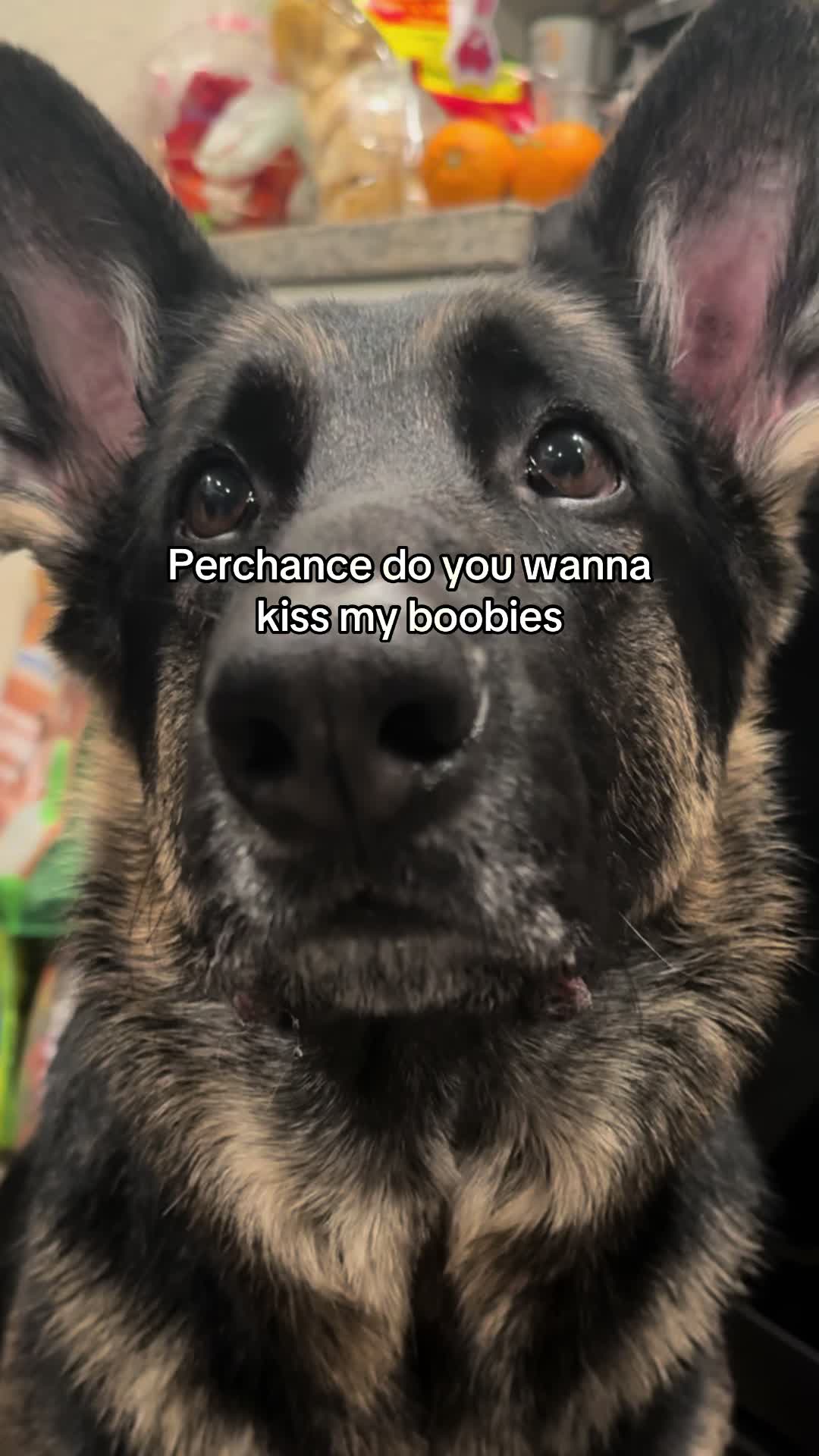 @Bhris