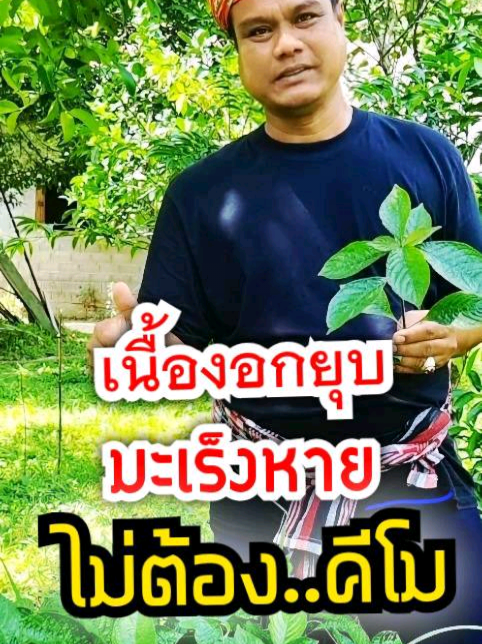 @Paklong Herb
