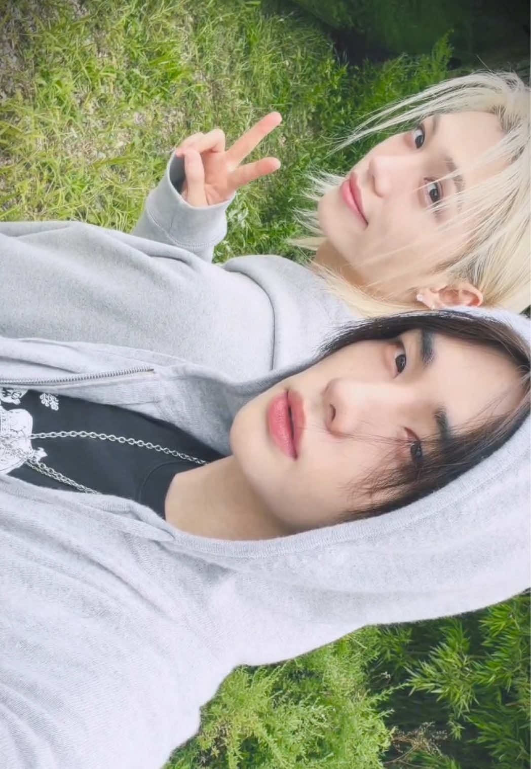 @Stray Kids