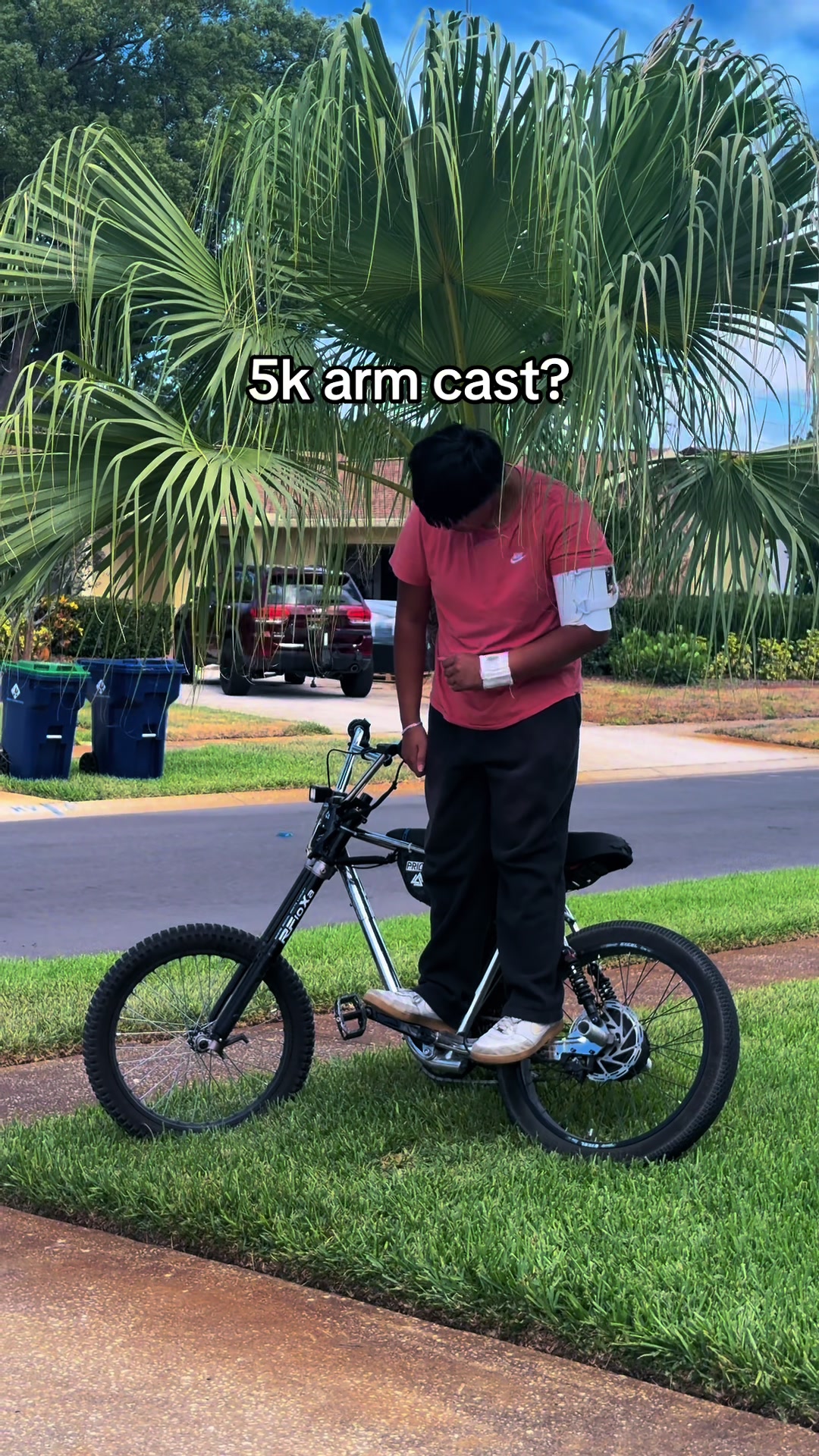 @Knightsepig