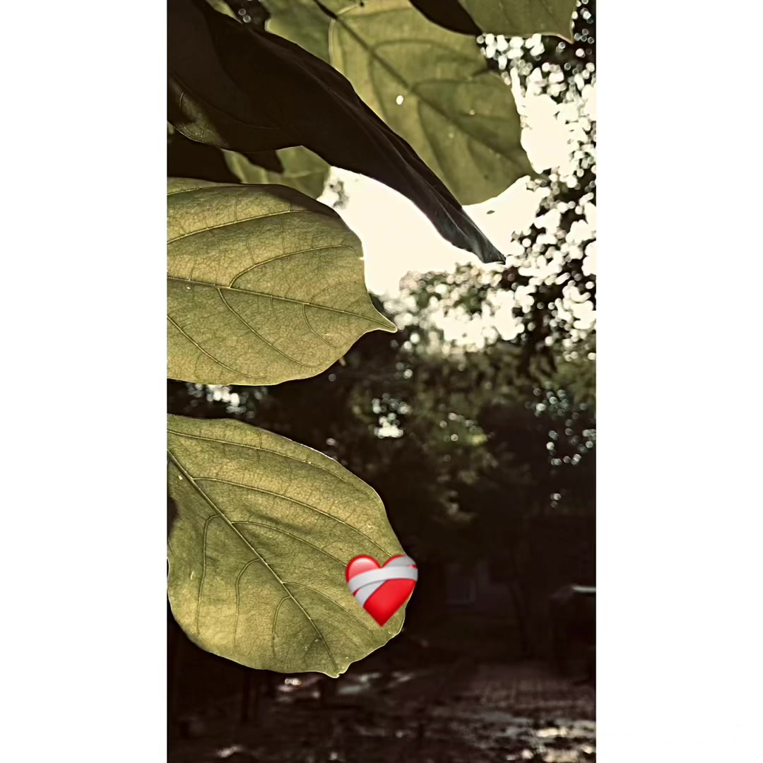 @پنجاب ❤️🩹