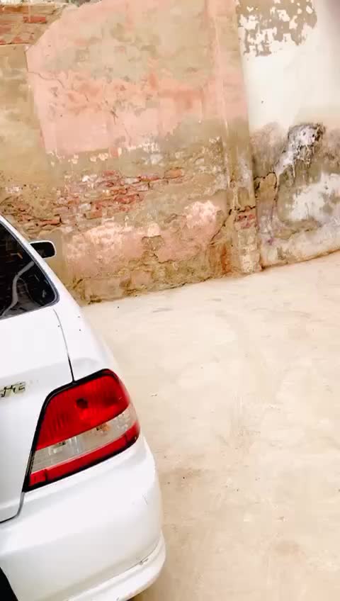 @sardar Hassan shykh 🍁