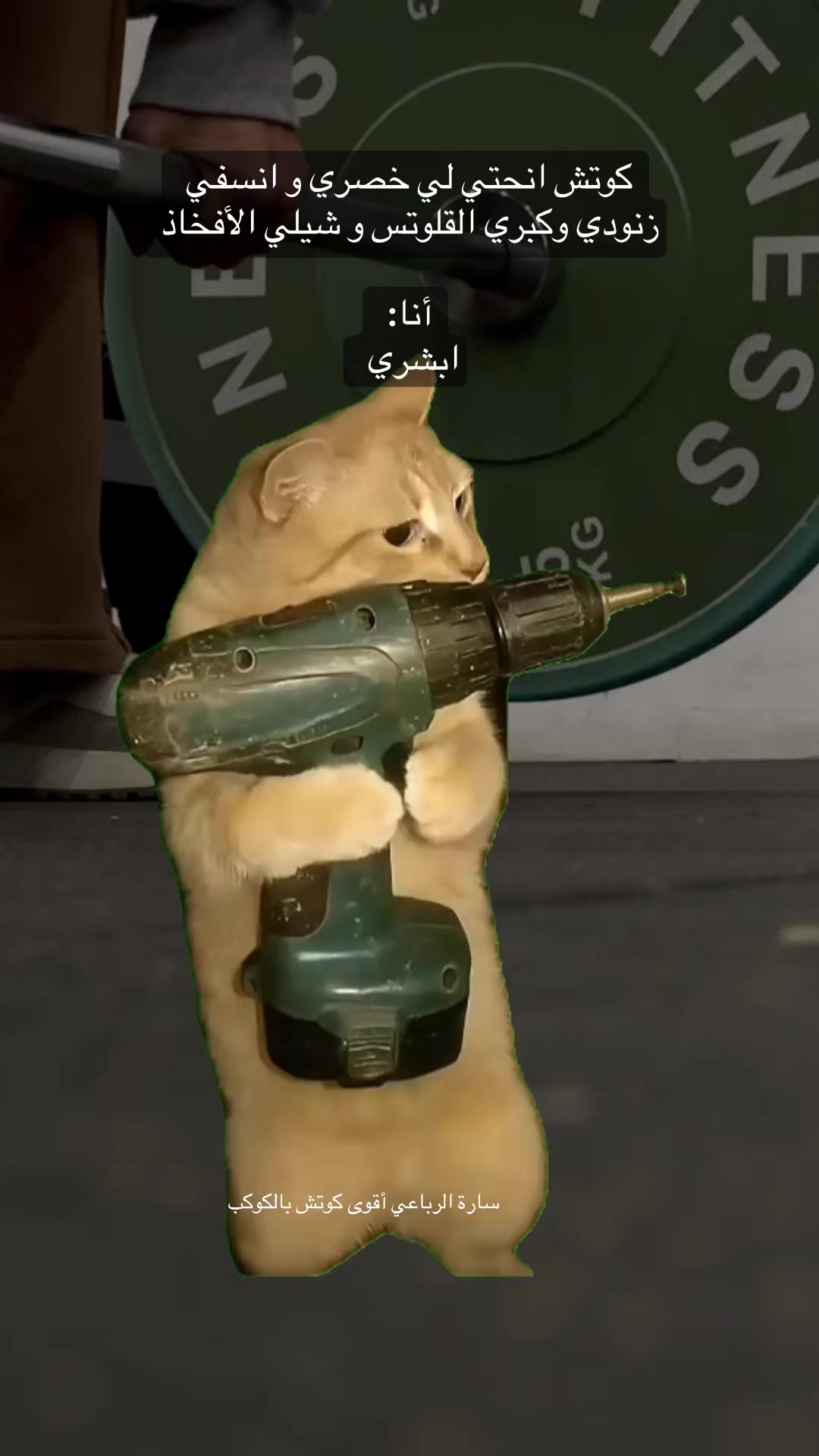 @sara.alrubaee