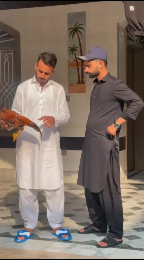@عٽمان جنجوعہ❤️
