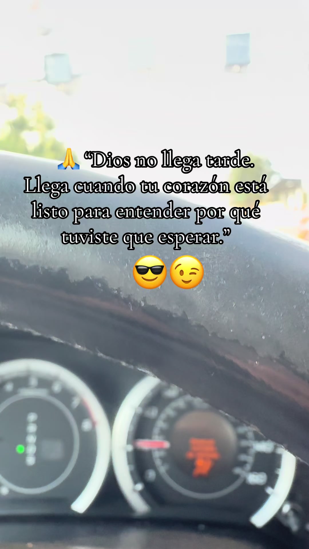 @NicaGmor🐾🇳🇮🐰🦁