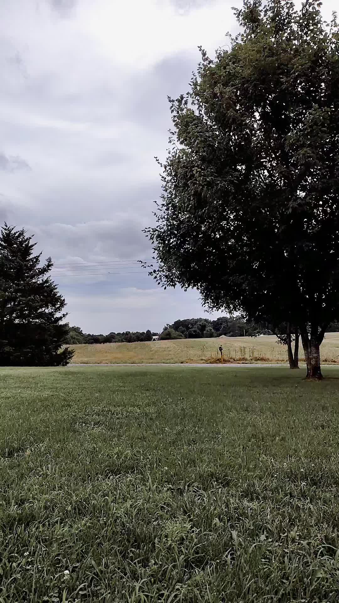 @17bri76.12