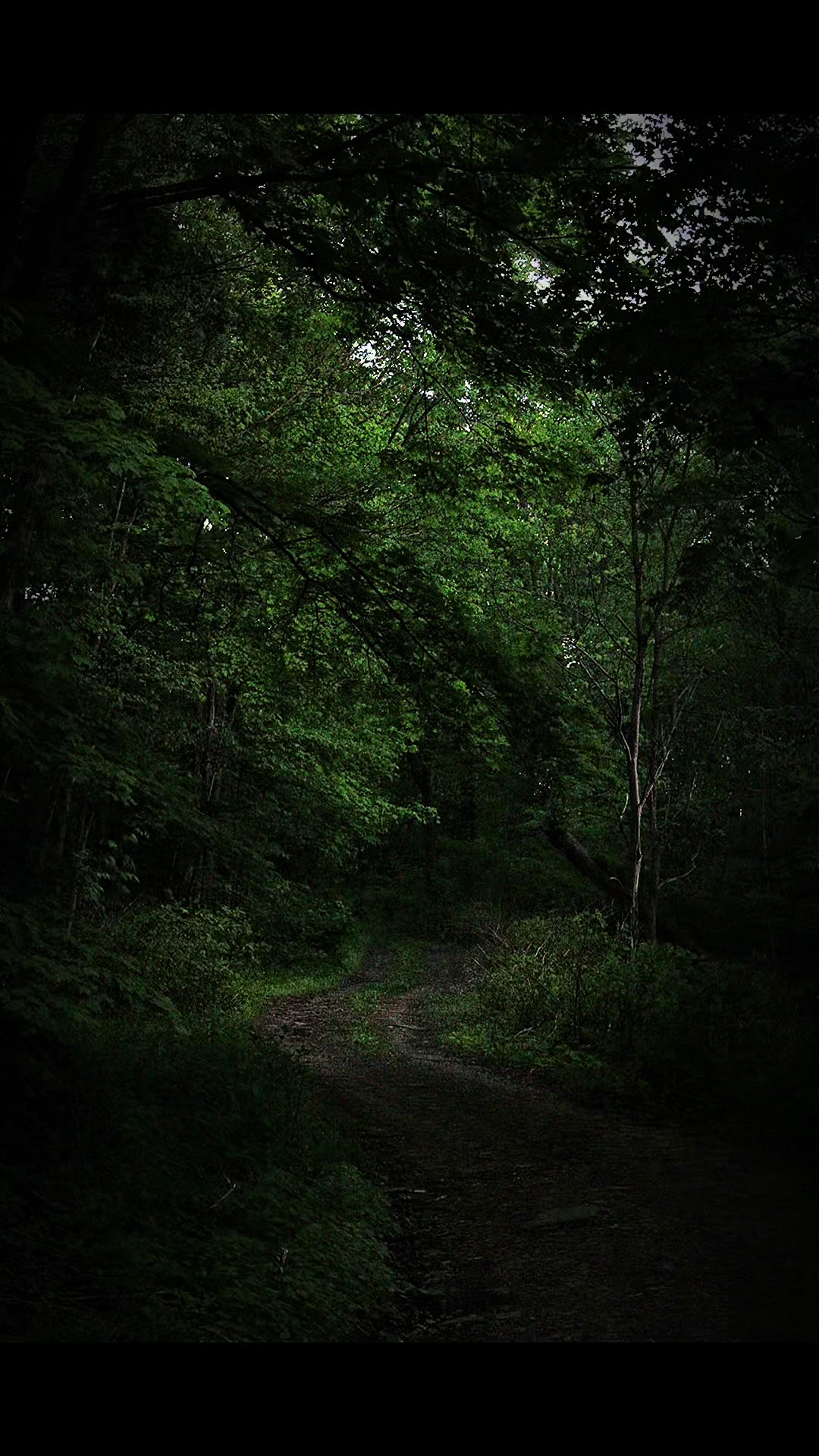 @Backyard Appalachia
