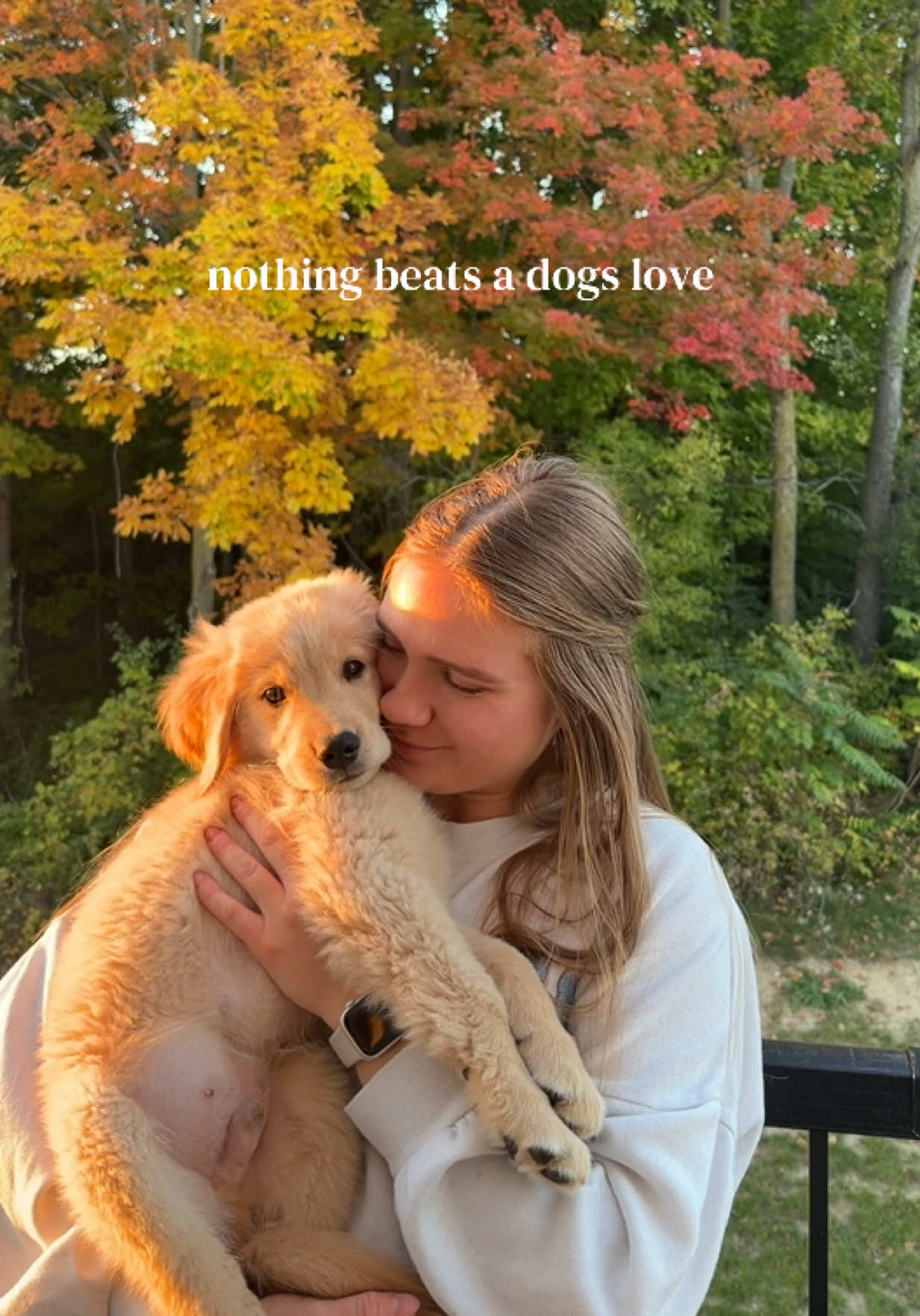 @Teddy & Tucker🐾