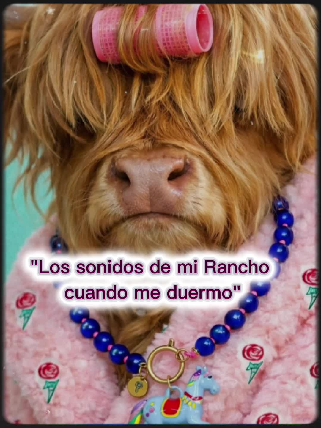 @Traviesa12👑