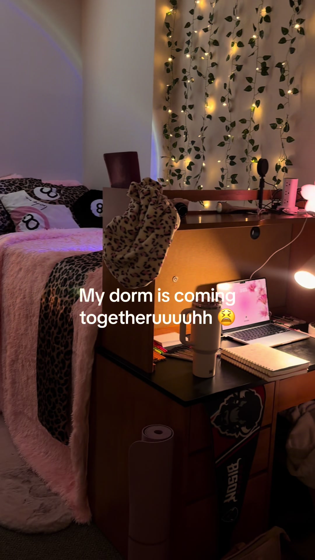 @allynii‼️