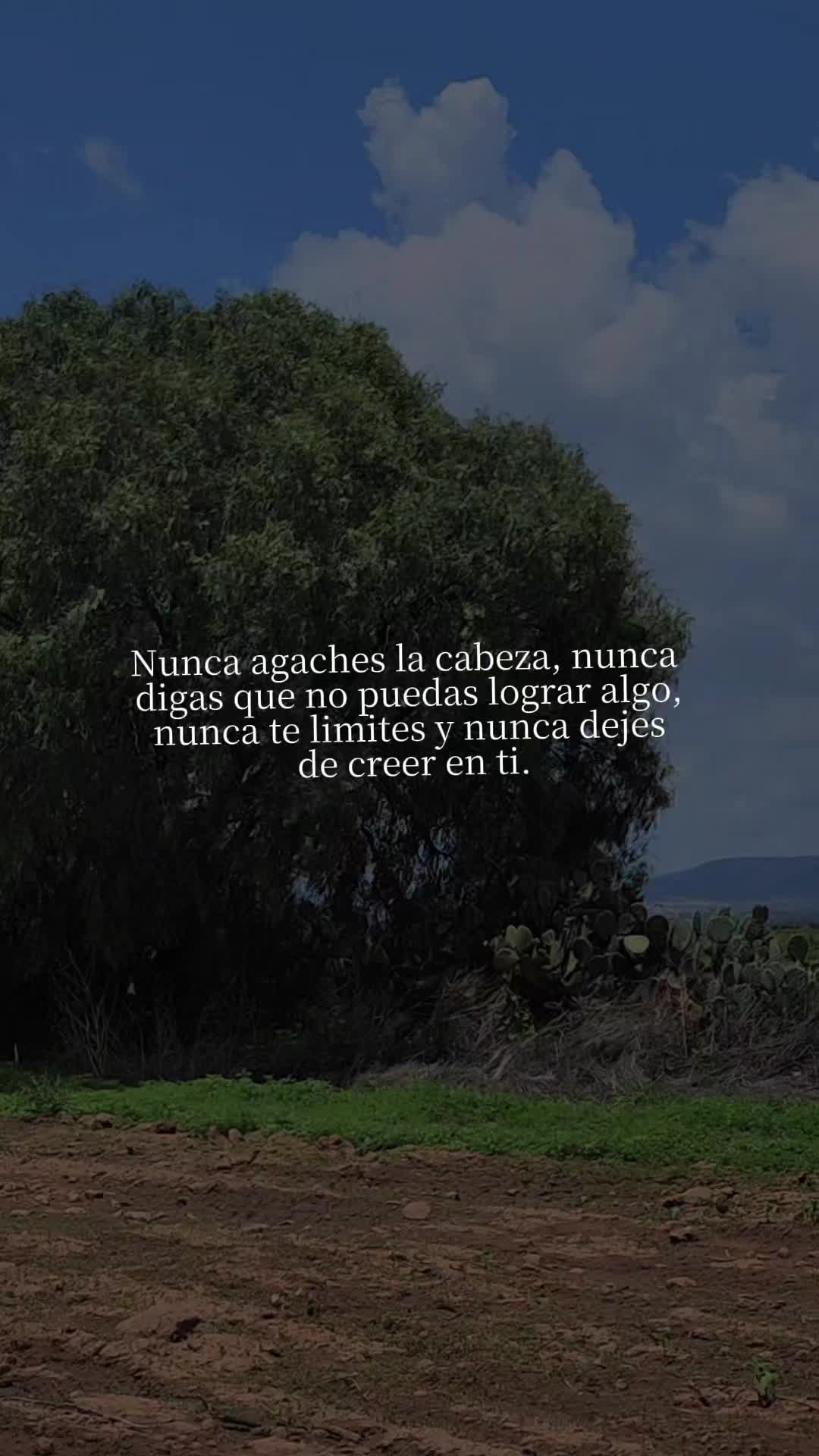 @Eliza Garcia