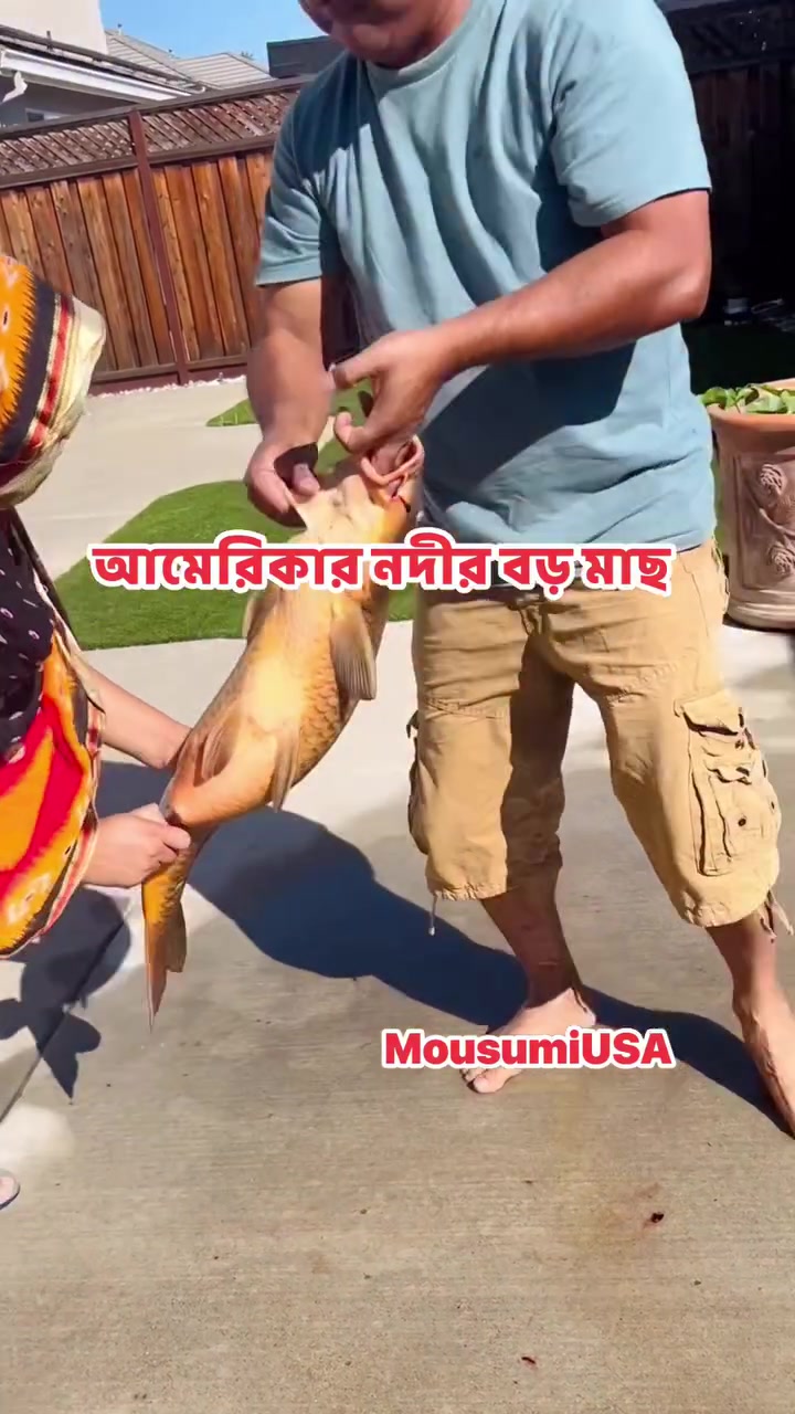 @Mousumi USA