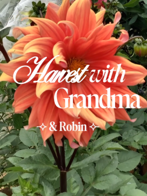 @Makeda Home and Garden
