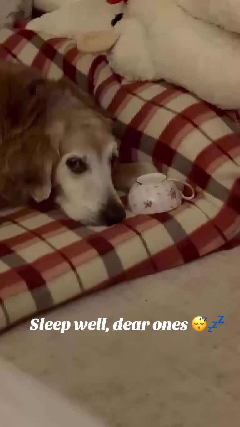 @lifewithduke2025