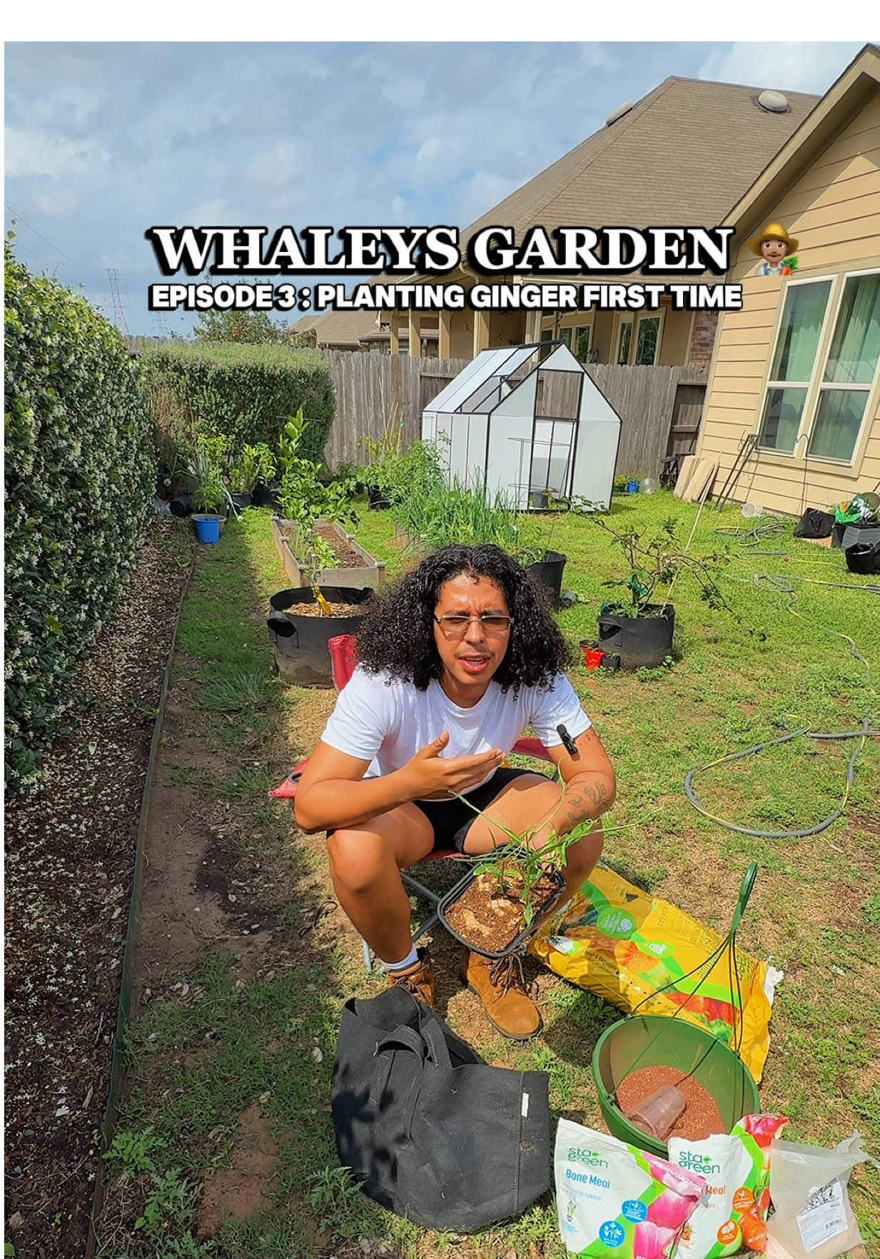 @whaleyswellness