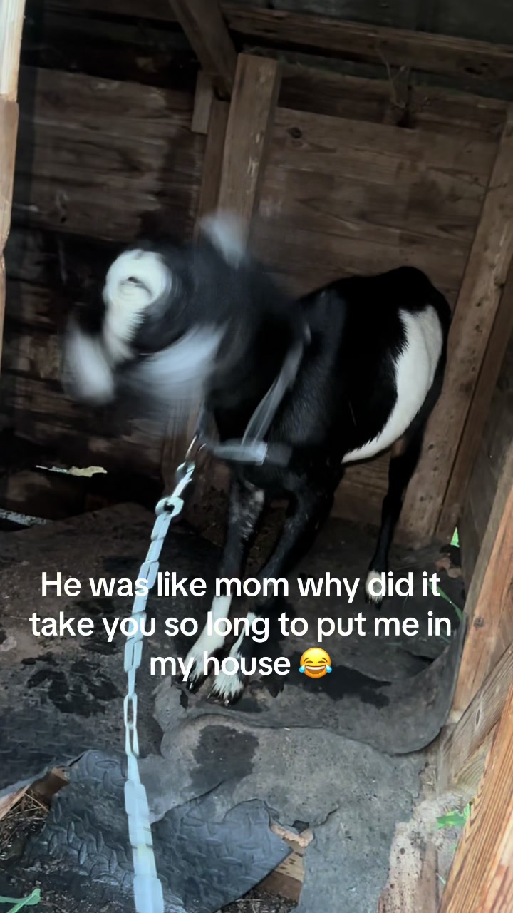 @Tamara Michelle