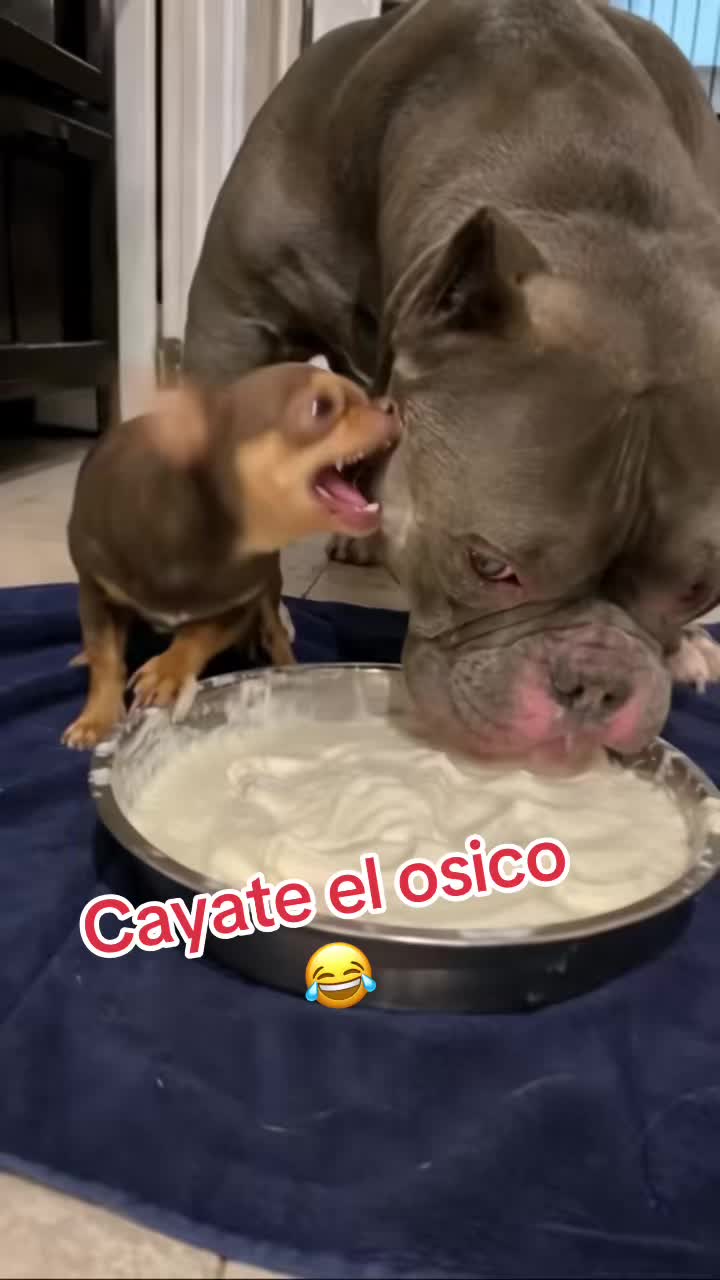 @Herevia1974