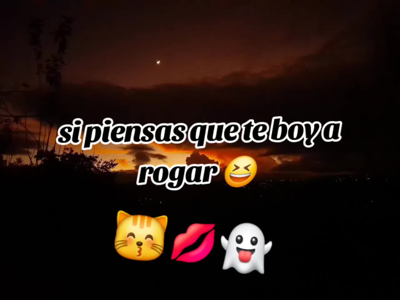 @🎶 🎧