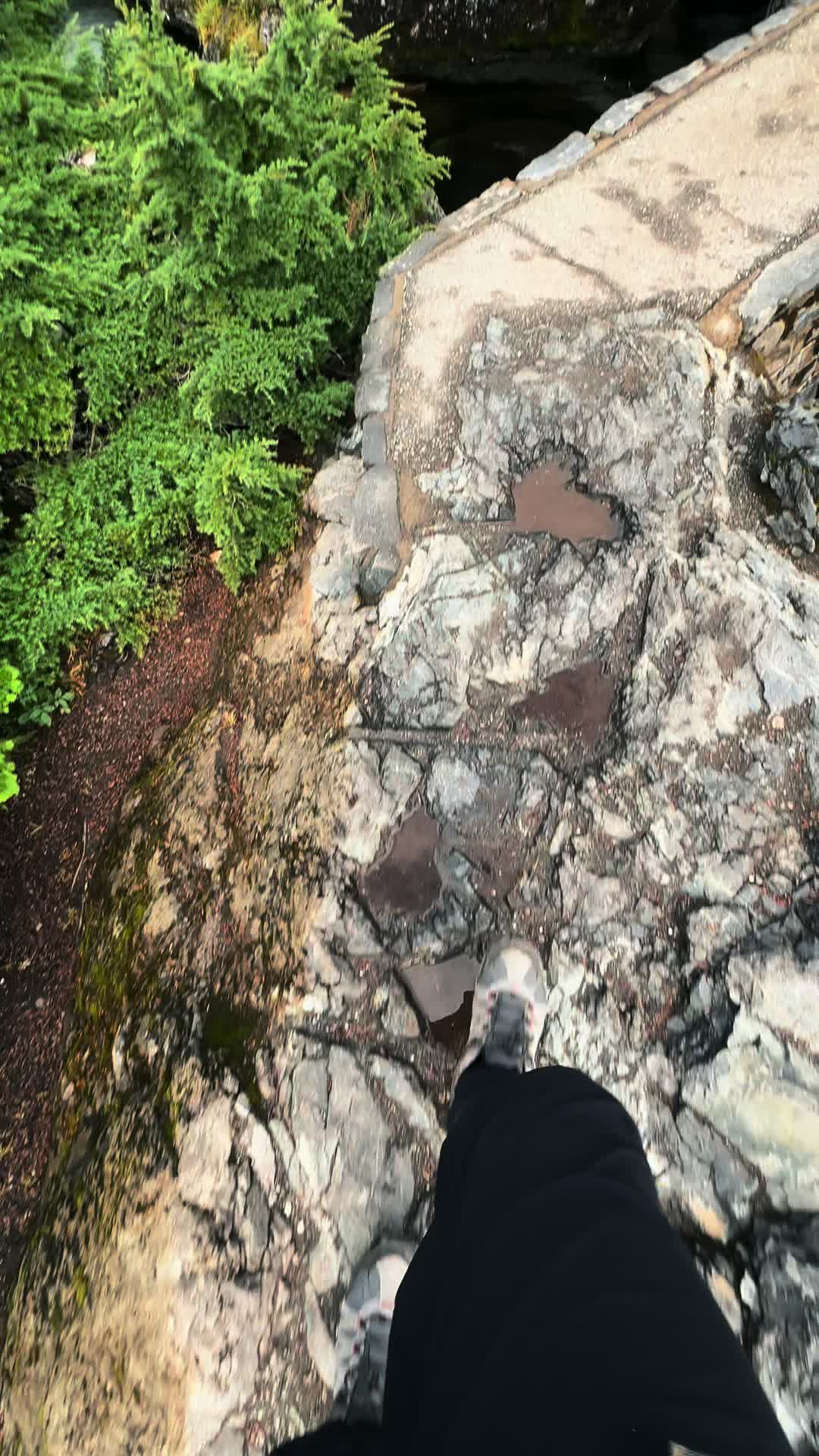 @🌲 James | WA 🏔️