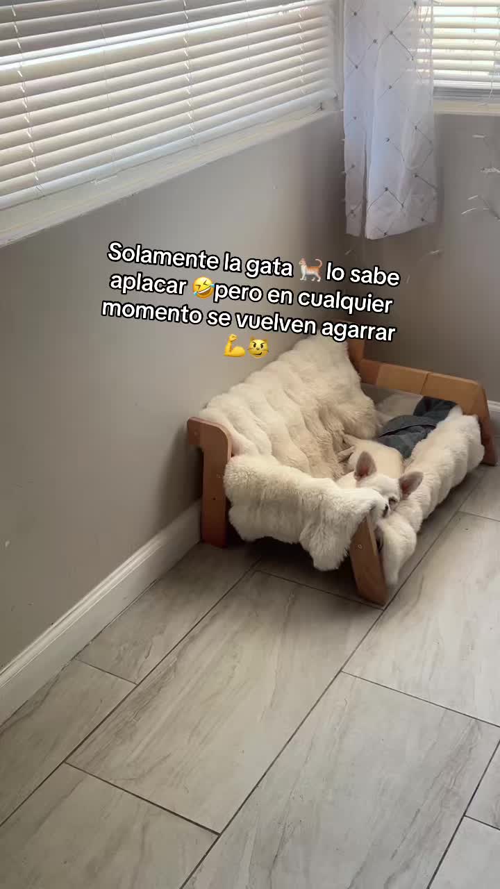 @Lupita Flores