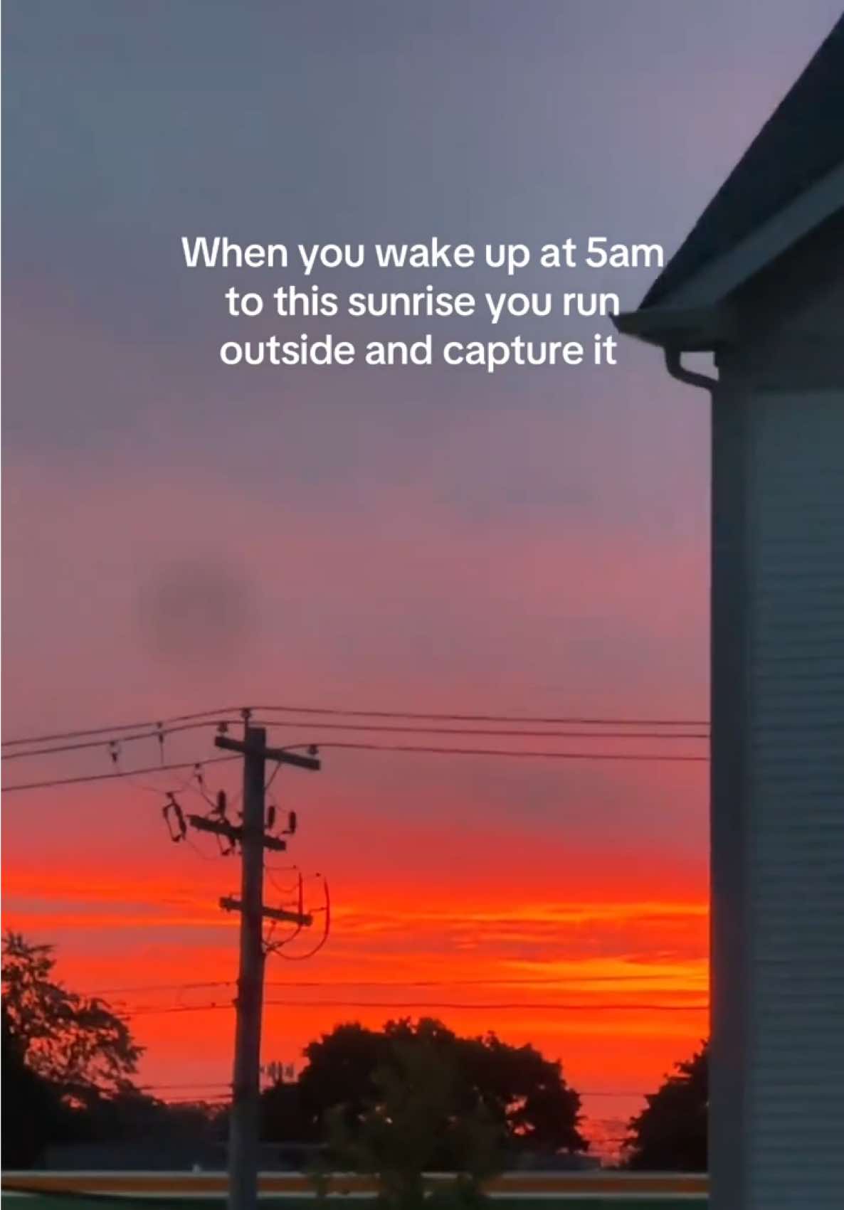 @noesanico
