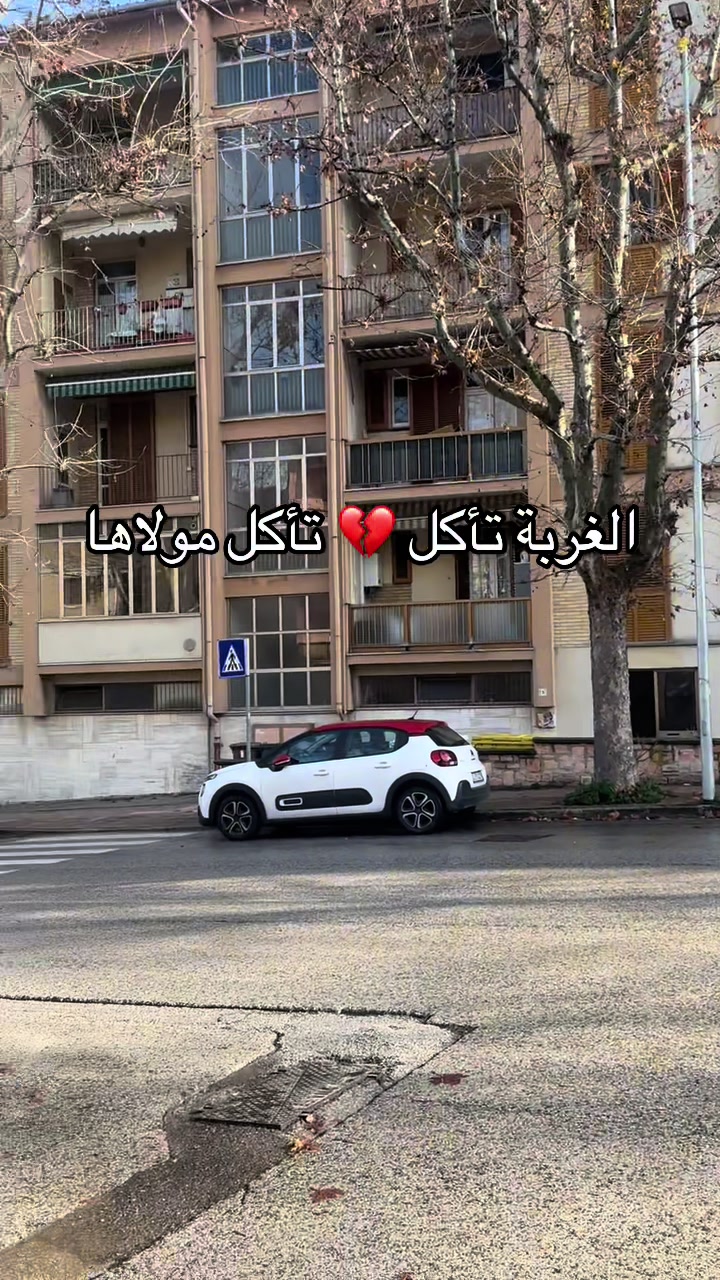 @๐น๐ณ Tunisien ๐น๐ณ