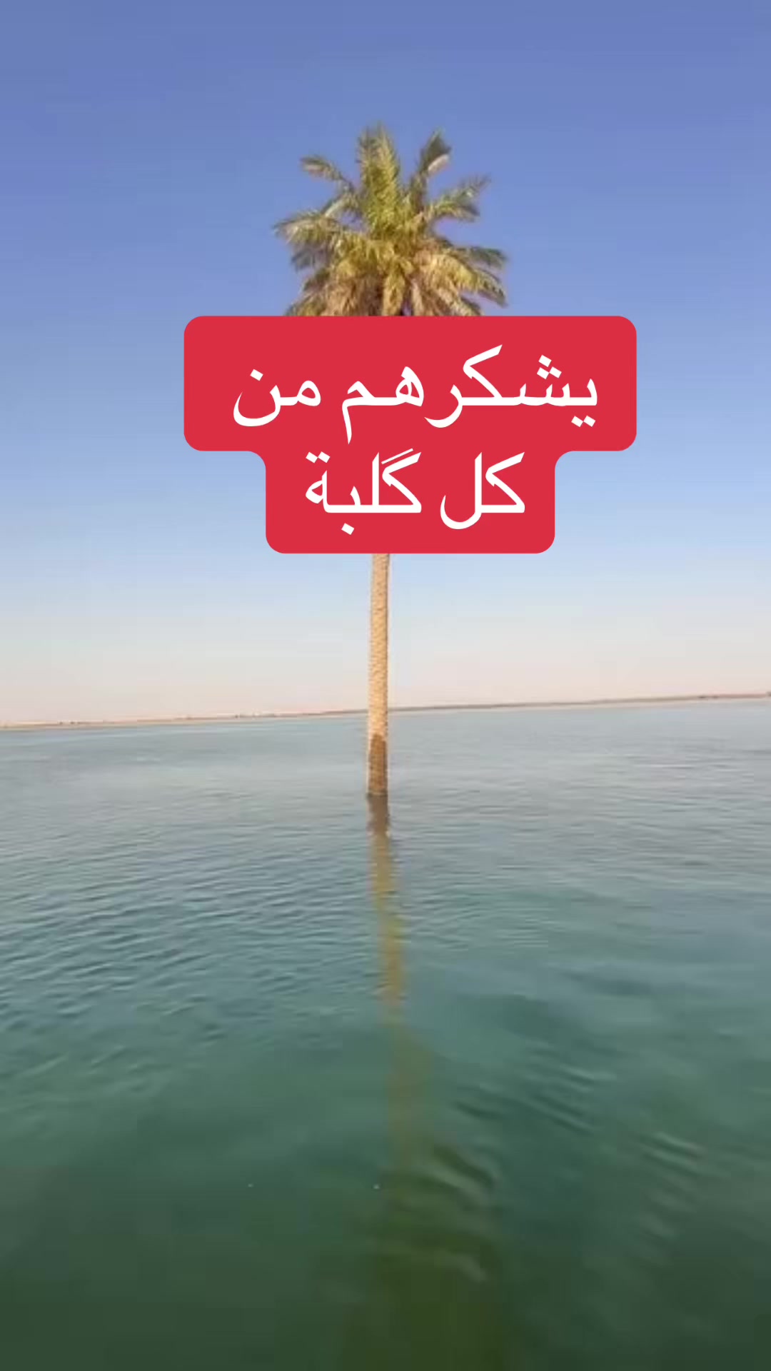 @عاجل وبس