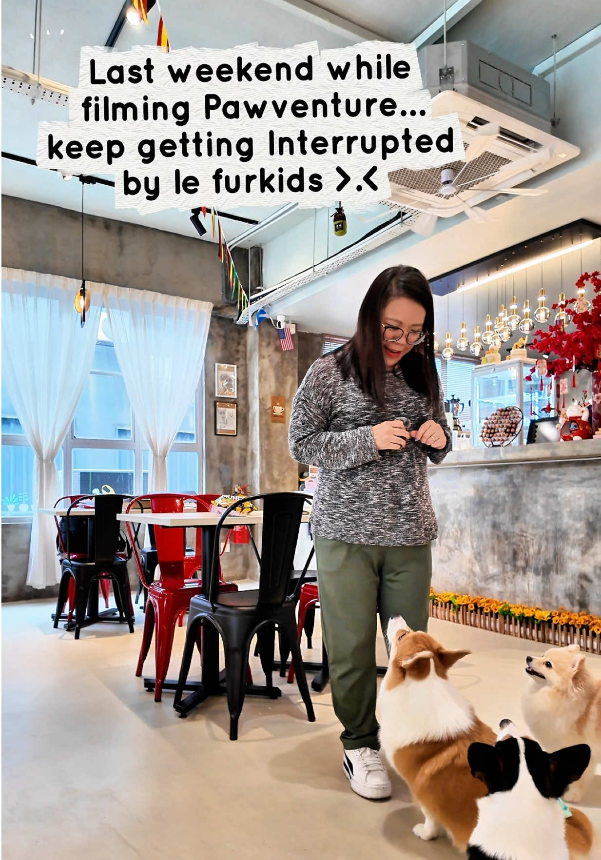 @ZOROPetCare