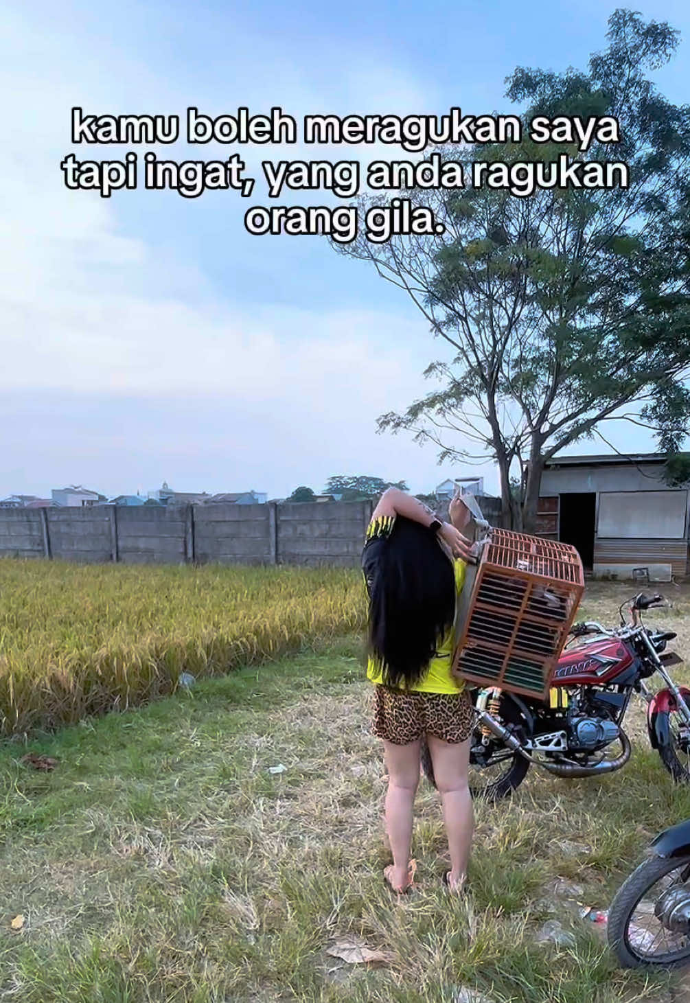 @Shindy jokigirlss ๐๏ธ