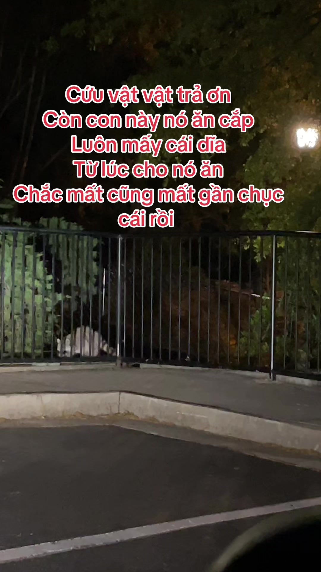 @Đi & Go