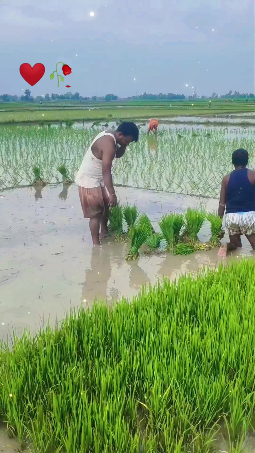 @रामबाबु साह 💞🧿