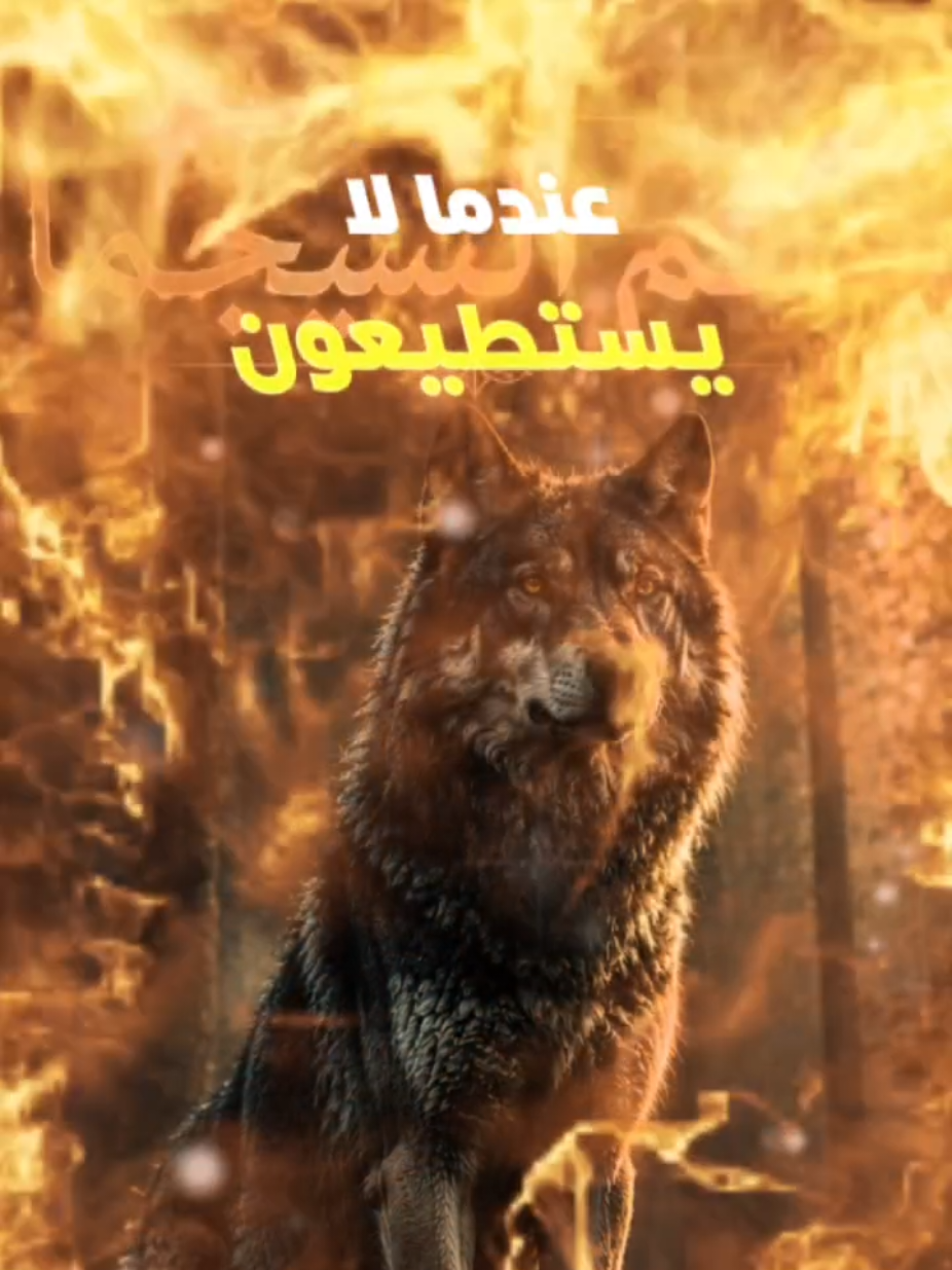 @عالم السيجما
