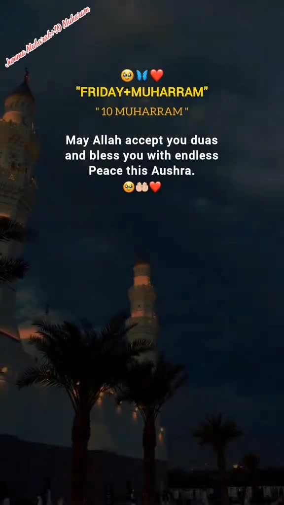 @Khichi786✅