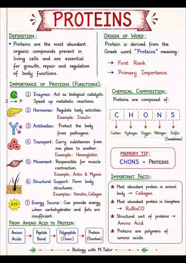 @All science Note&MCQS 9 to B.s