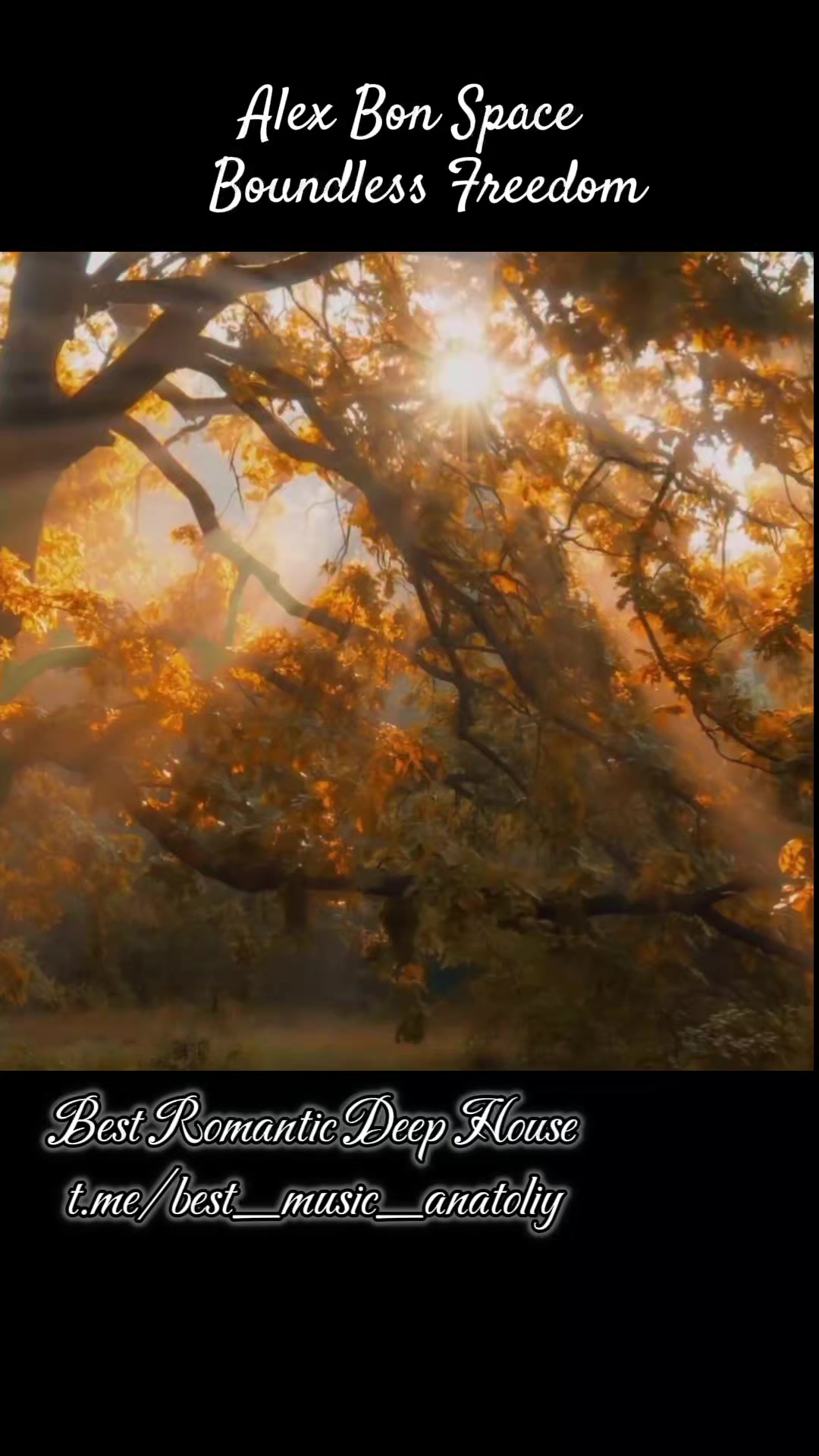 @Best Music
