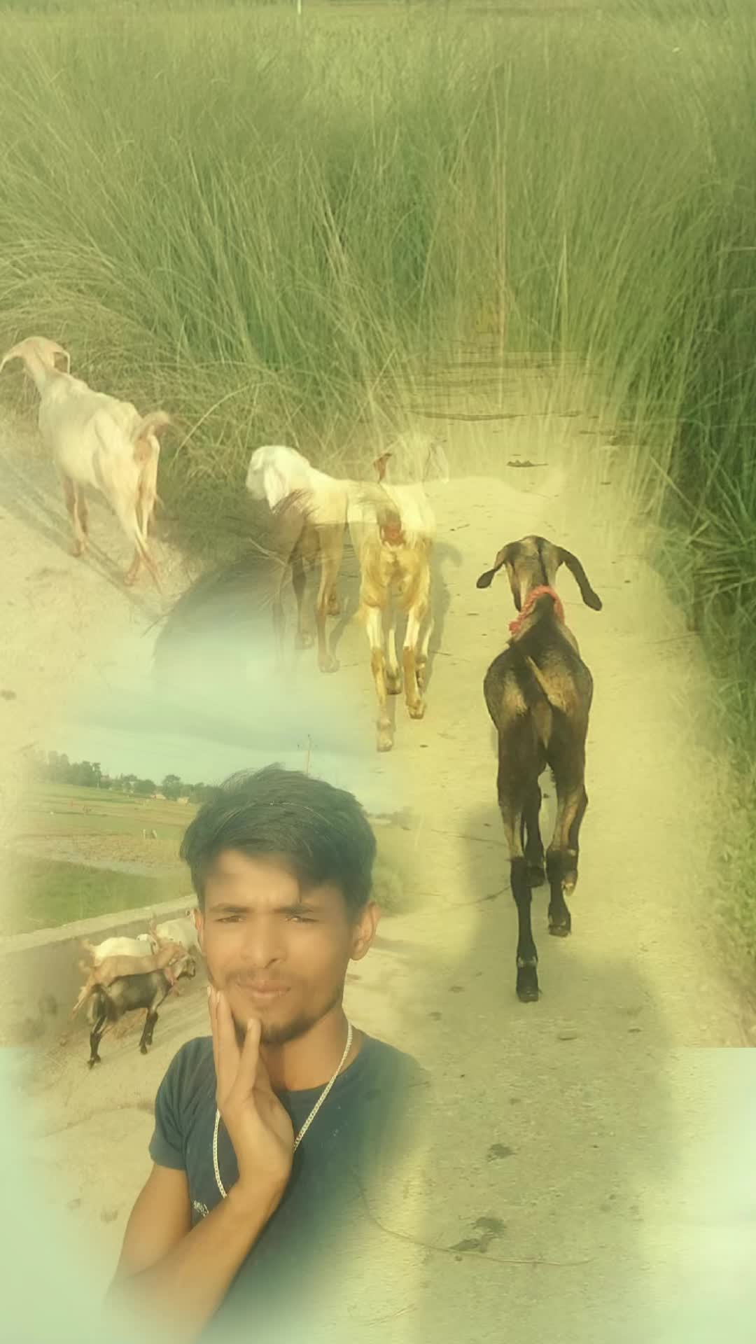 @Ramlochan Yadav