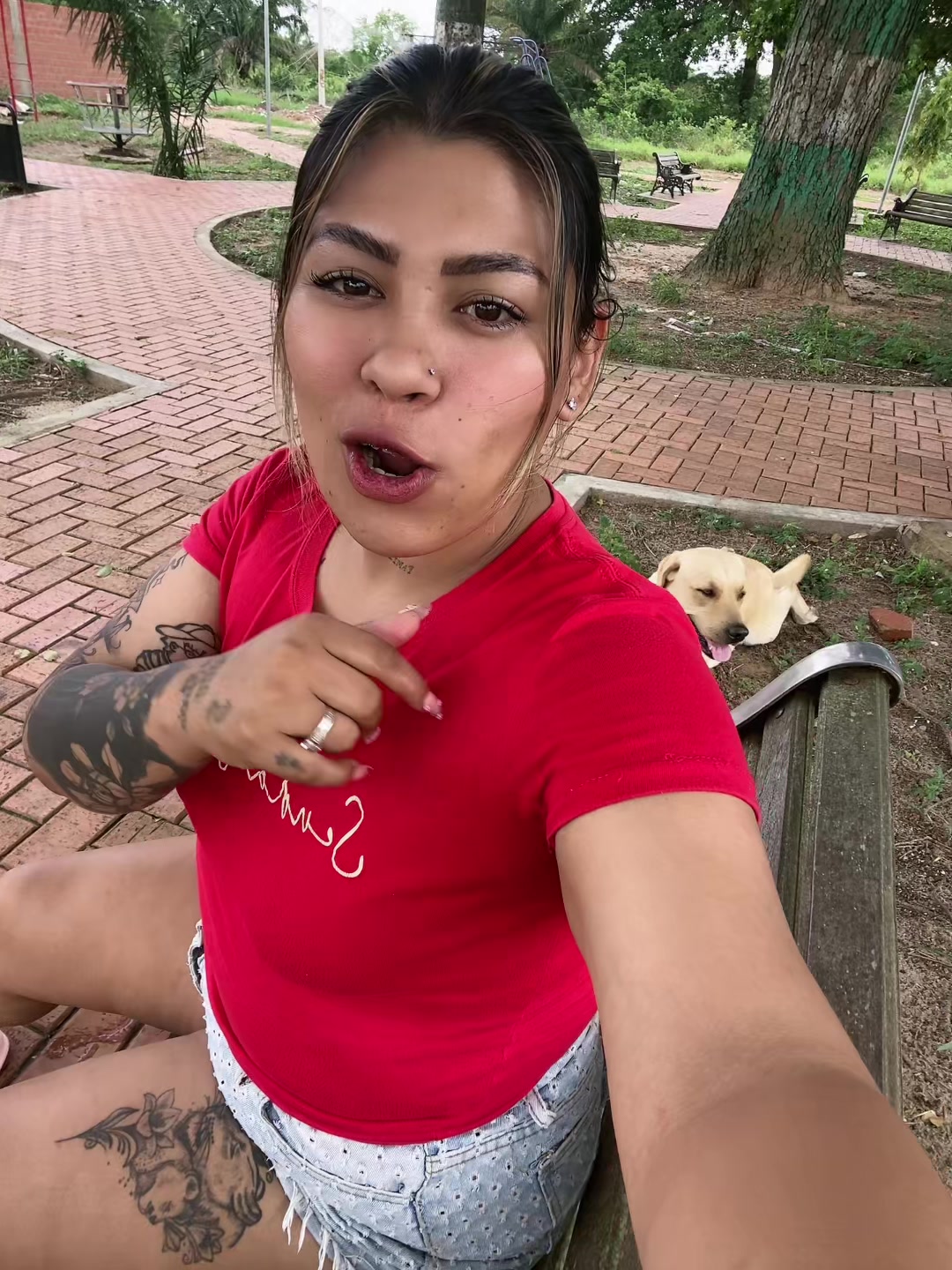 @lapipooloficial