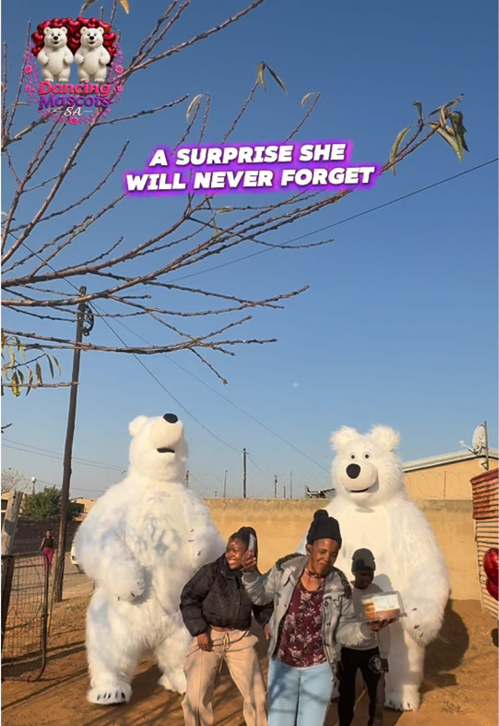 @dancingmascotssa