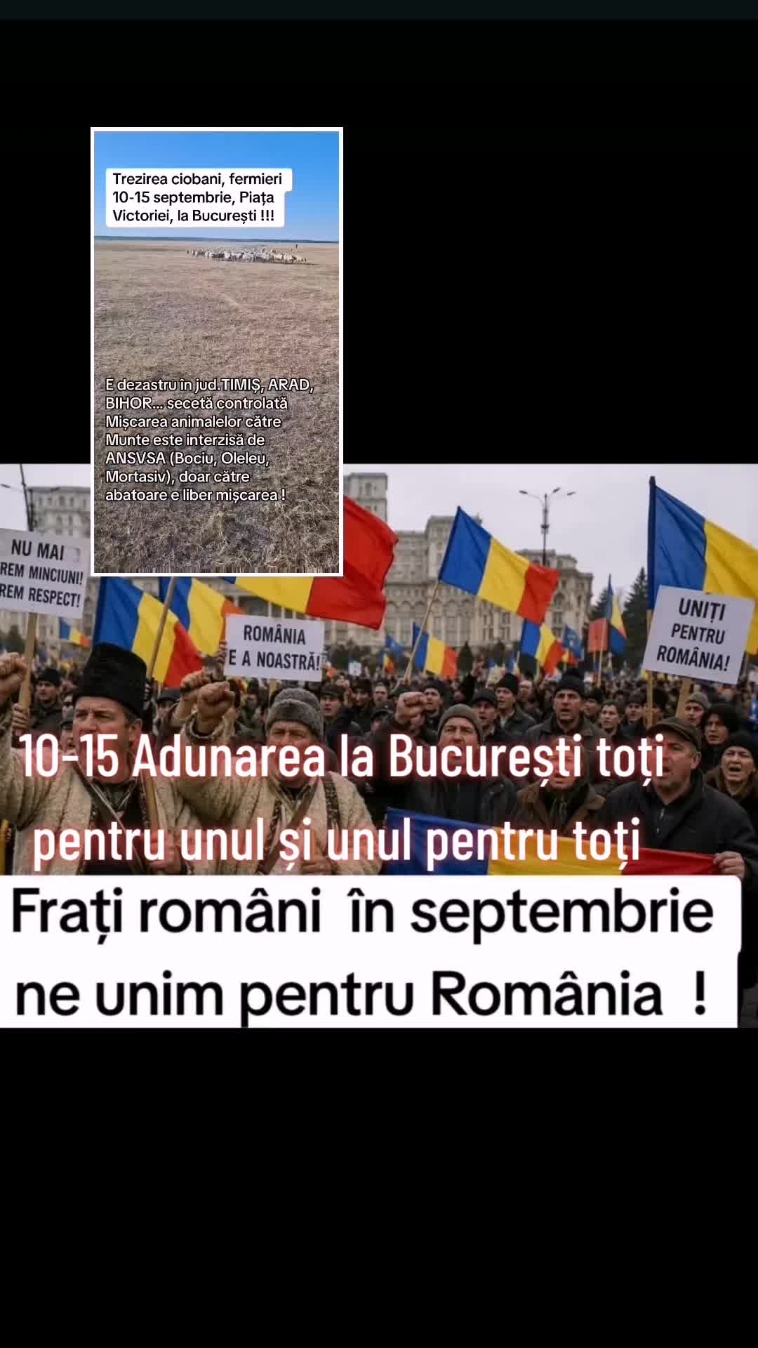 @Nina🇷🇴🤝❤️