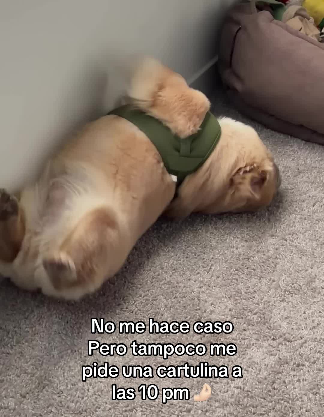 @Sharon Naomi Barrios
