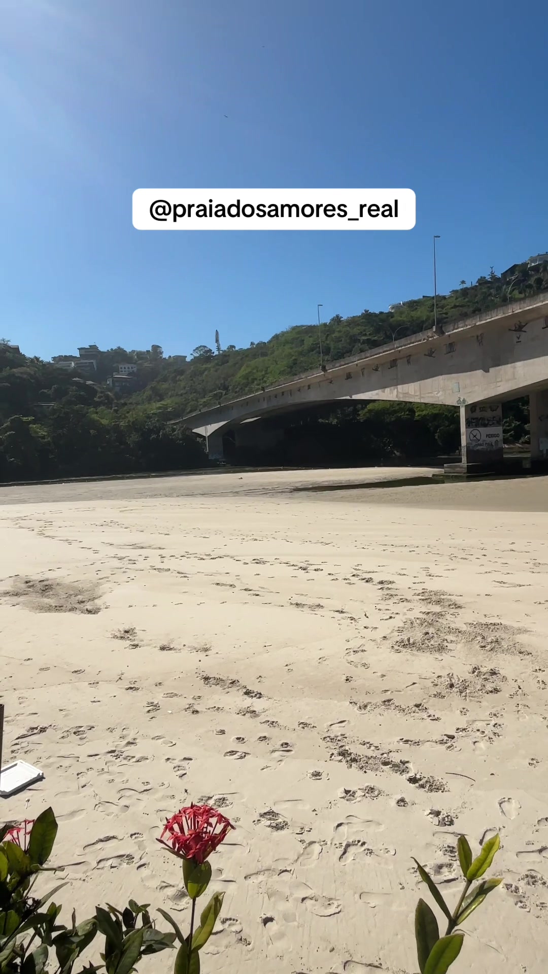 @Praia dos Amores Real