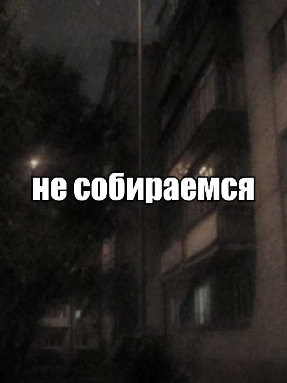 @tenbeery