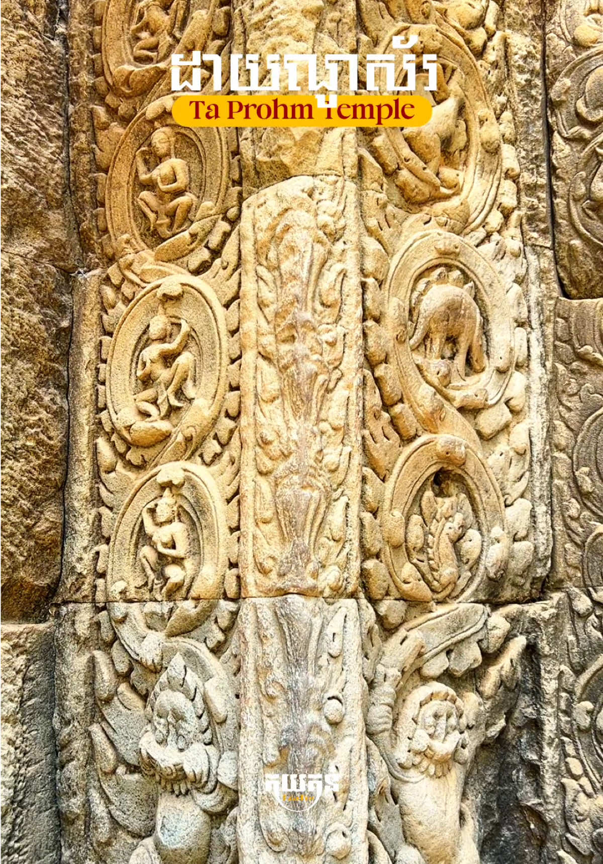 @គយគន់