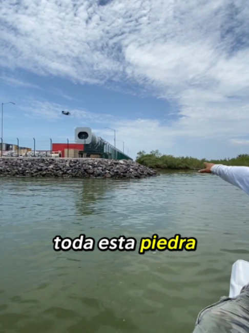 @Greenpeace México