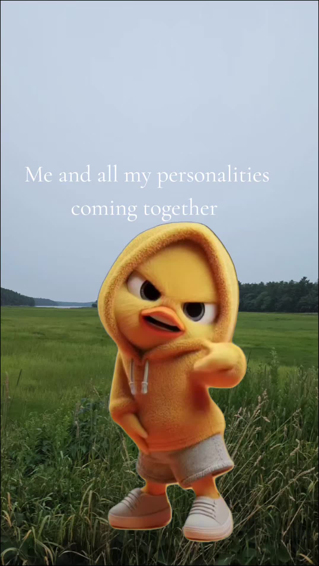 @๐ ๐ฑ๐๐๐๐๐๐ ๐