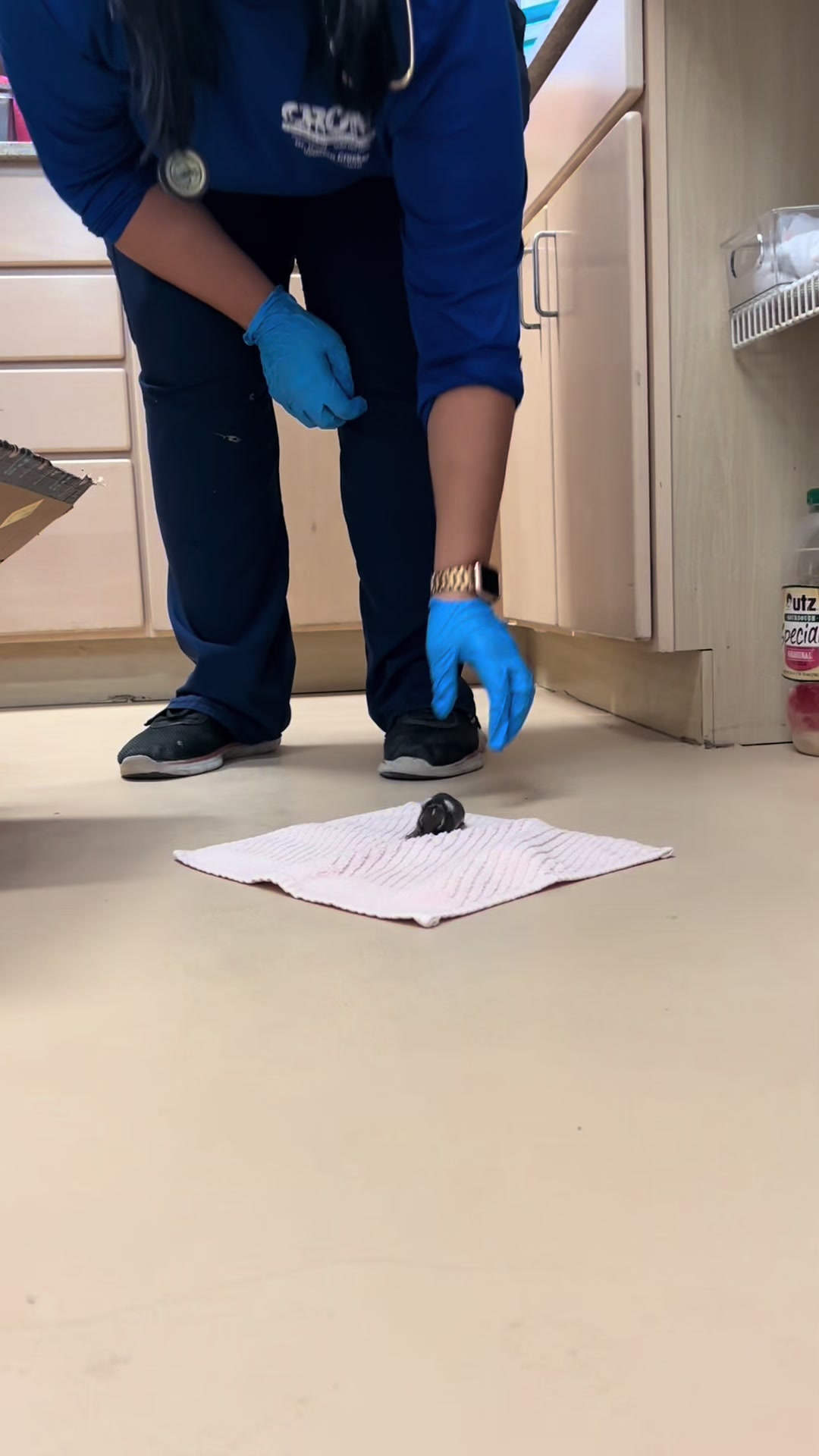 @CROW Clinic